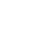 日日屄